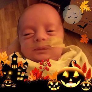 Meet your Posher, Sandy